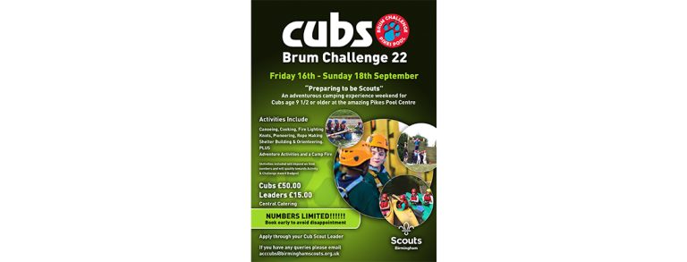 Cub-Brumchallenge-22-banner